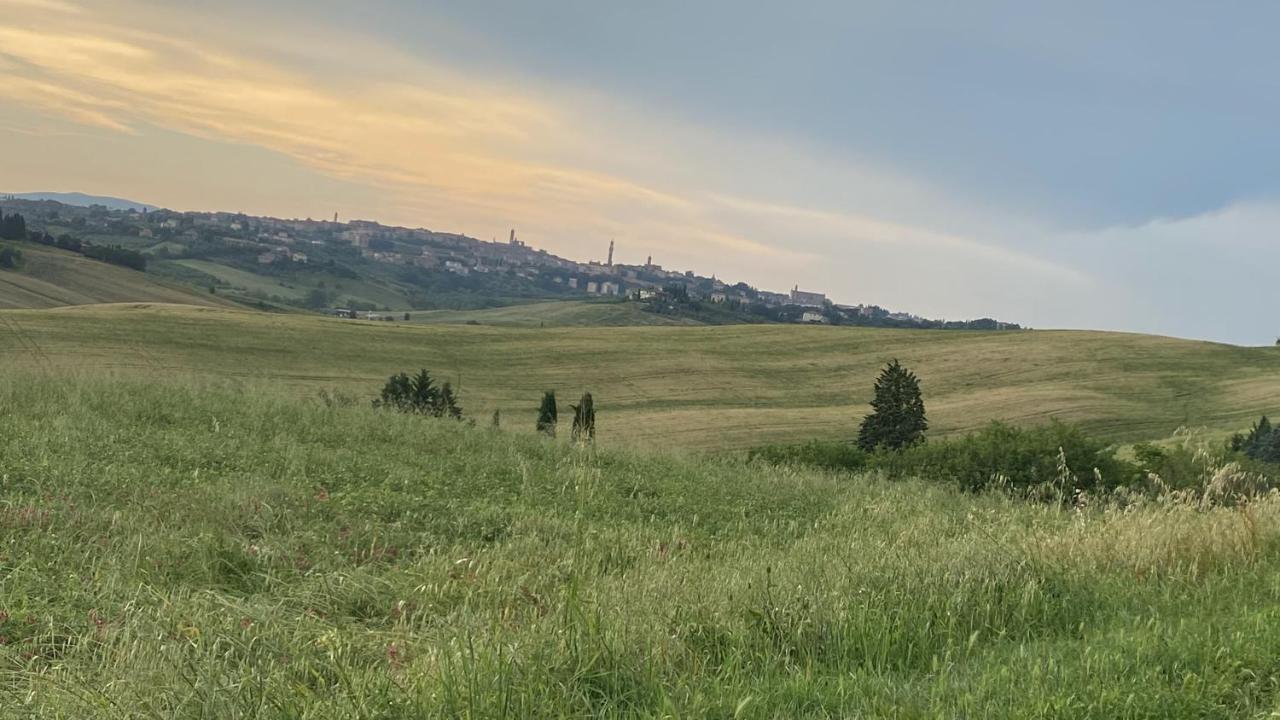 Вілла Agriturismo La Collina Сієна Екстер'єр фото